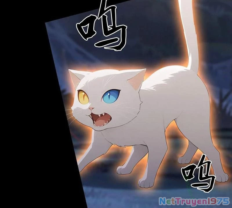 Ảo Ma! Ta Mở Lớp Huấn Luyện Nữ Đế! Chapter 99 - 9