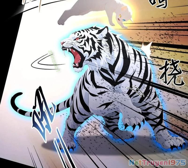 Ảo Ma! Ta Mở Lớp Huấn Luyện Nữ Đế! Chapter 99 - 14