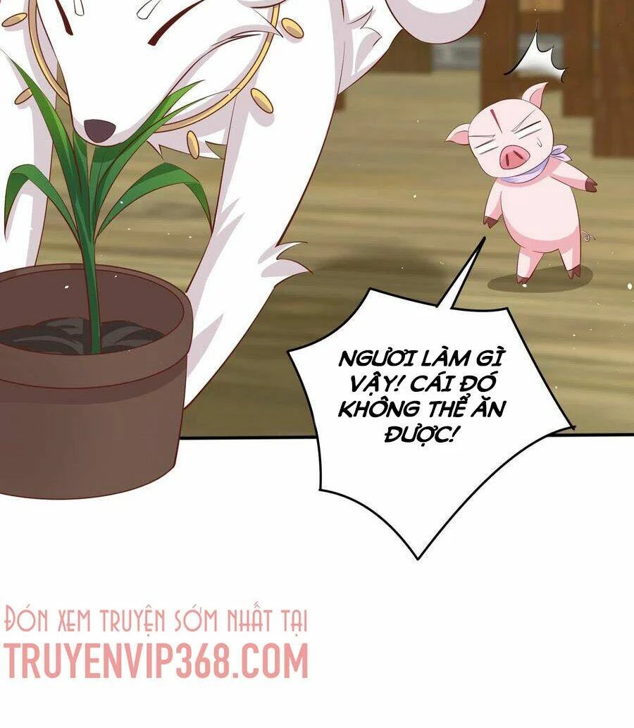 Chi Tôn Đồng Thuật Sư: Tuyệt Thế Đại Tiểu Thư Chapter 229 - 42