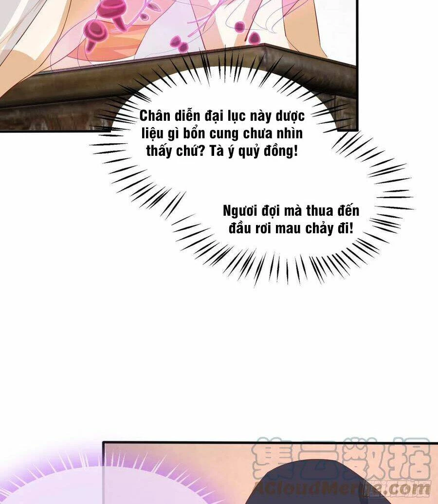 Chi Tôn Đồng Thuật Sư: Tuyệt Thế Đại Tiểu Thư Chapter 232 - 8