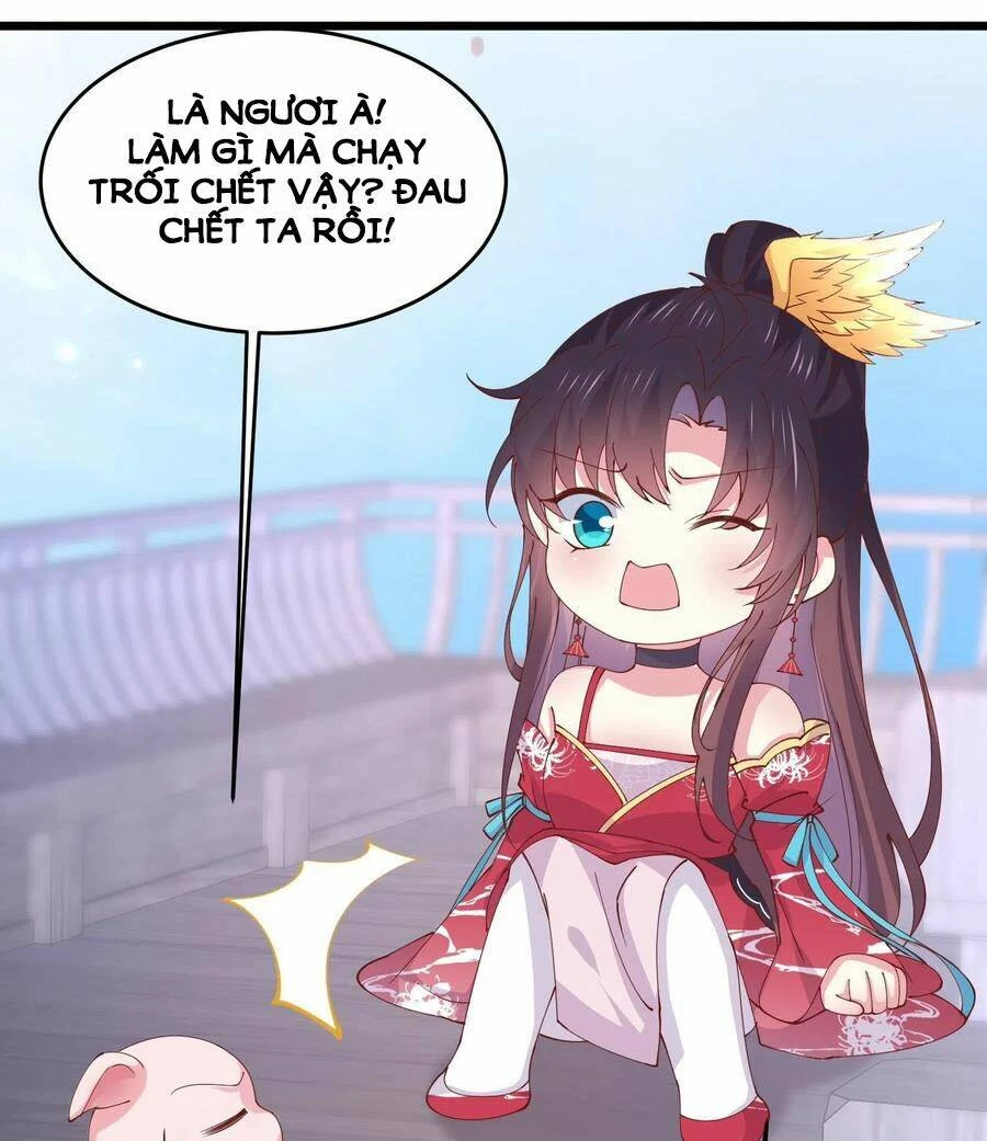 Chi Tôn Đồng Thuật Sư: Tuyệt Thế Đại Tiểu Thư Chapter 248 - 13