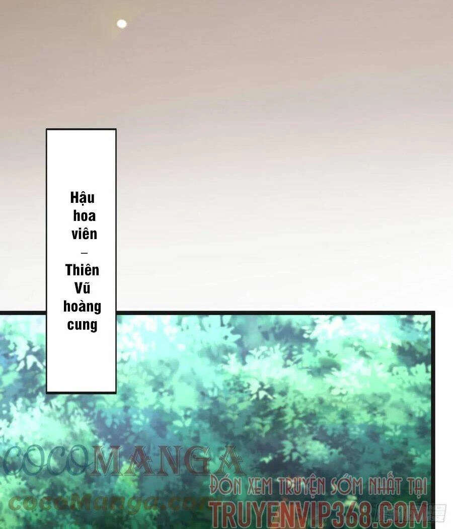 Chi Tôn Đồng Thuật Sư: Tuyệt Thế Đại Tiểu Thư Chapter 259 - 22