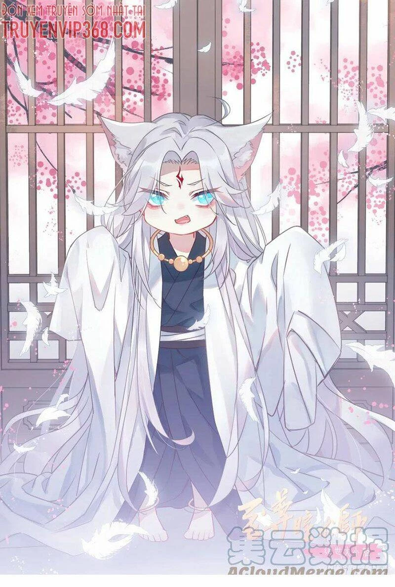 Chi Tôn Đồng Thuật Sư: Tuyệt Thế Đại Tiểu Thư Chapter 278 - 2