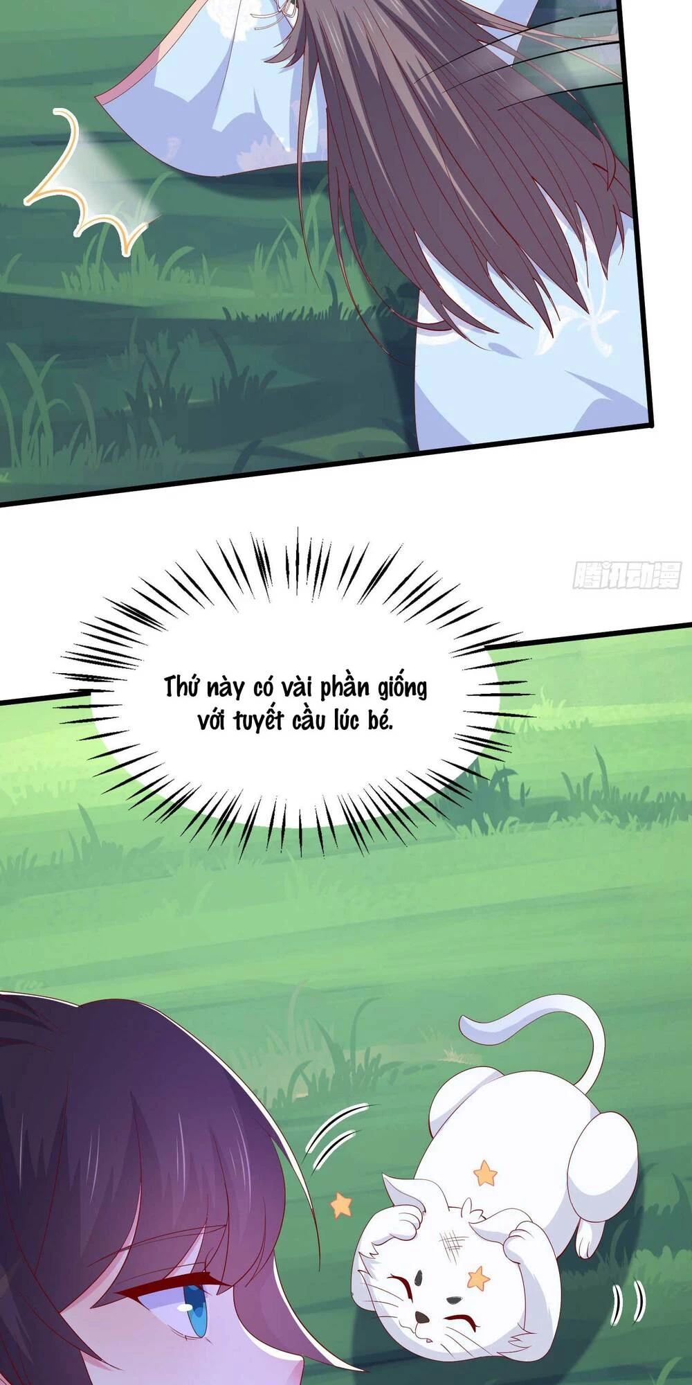 Chi Tôn Đồng Thuật Sư: Tuyệt Thế Đại Tiểu Thư Chapter 310 - 36