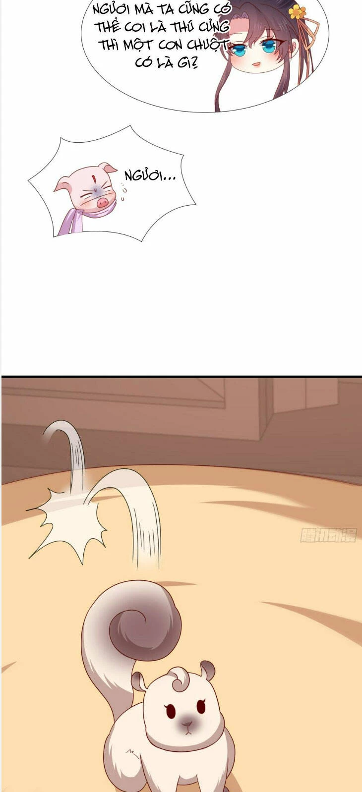 Chi Tôn Đồng Thuật Sư: Tuyệt Thế Đại Tiểu Thư Chapter 344 - 5