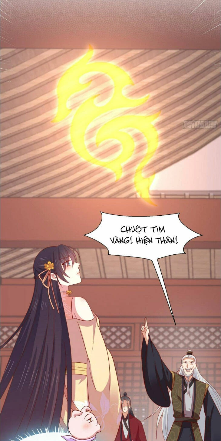 Chi Tôn Đồng Thuật Sư: Tuyệt Thế Đại Tiểu Thư Chapter 347 - 5