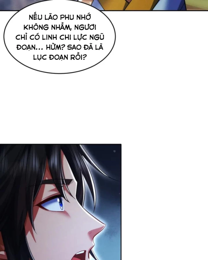 Các Nữ Sư Tôn Đều Muốn Chiếm Hữu Ta Chapter 17 - 34