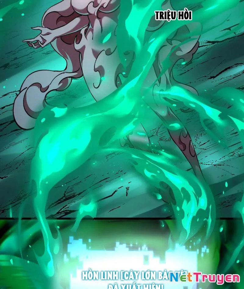 Tai Ách Cấp Mục Sư Chapter 43 - Trang 2