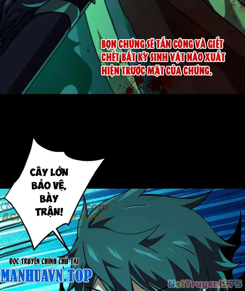 Tai Ách Cấp Mục Sư Chapter 43 - Trang 2