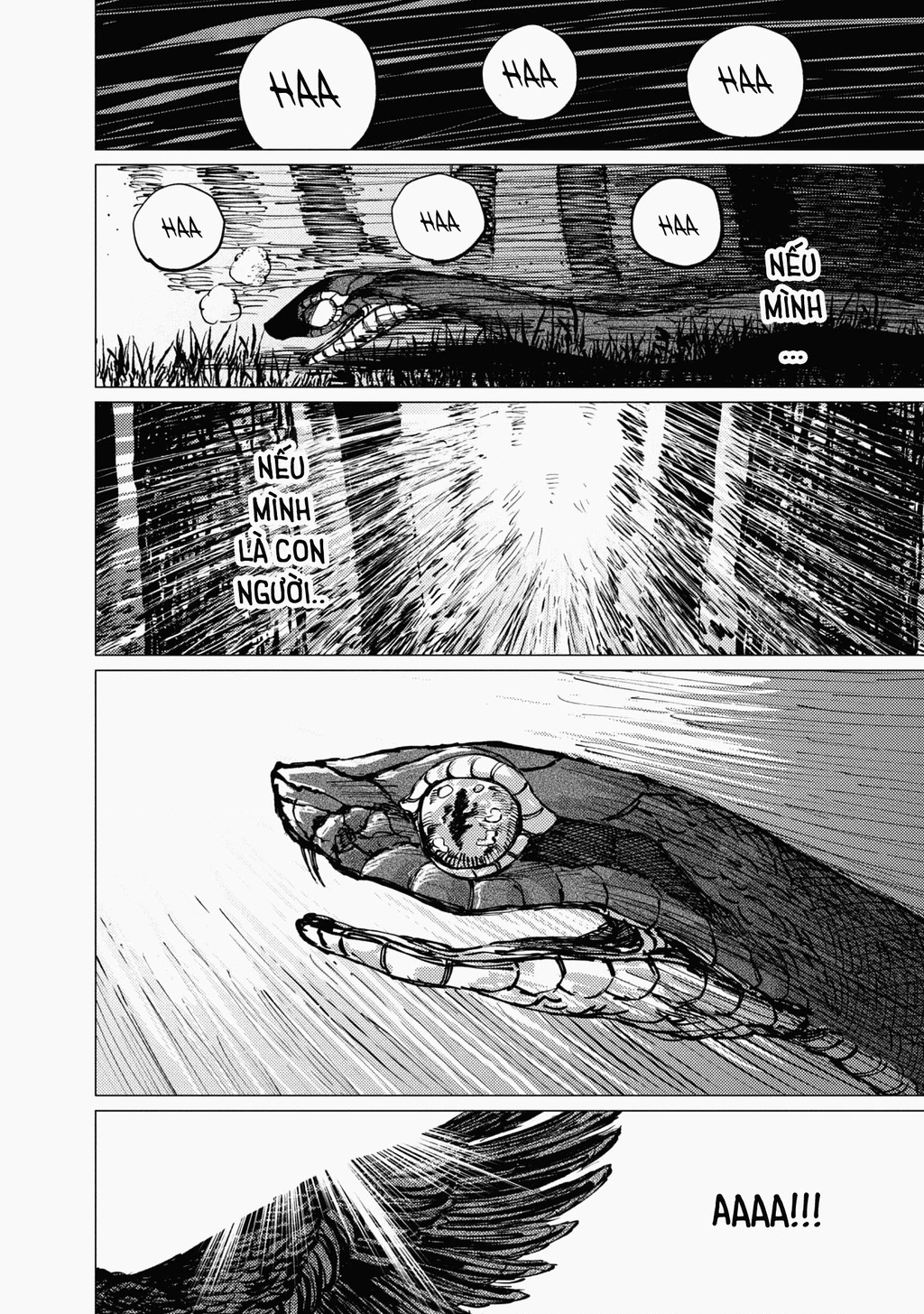 Đại xà tân nương Chapter 25 - 32