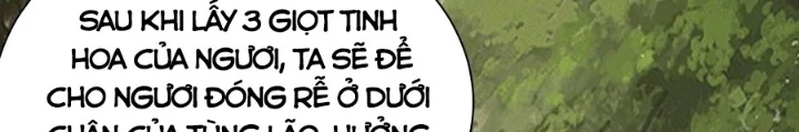 Ngày Tôi Sinh Ra, Bách Quỷ Dạ Hành, Tuyết Thi Hộ Đạo Chapter 703 - 46