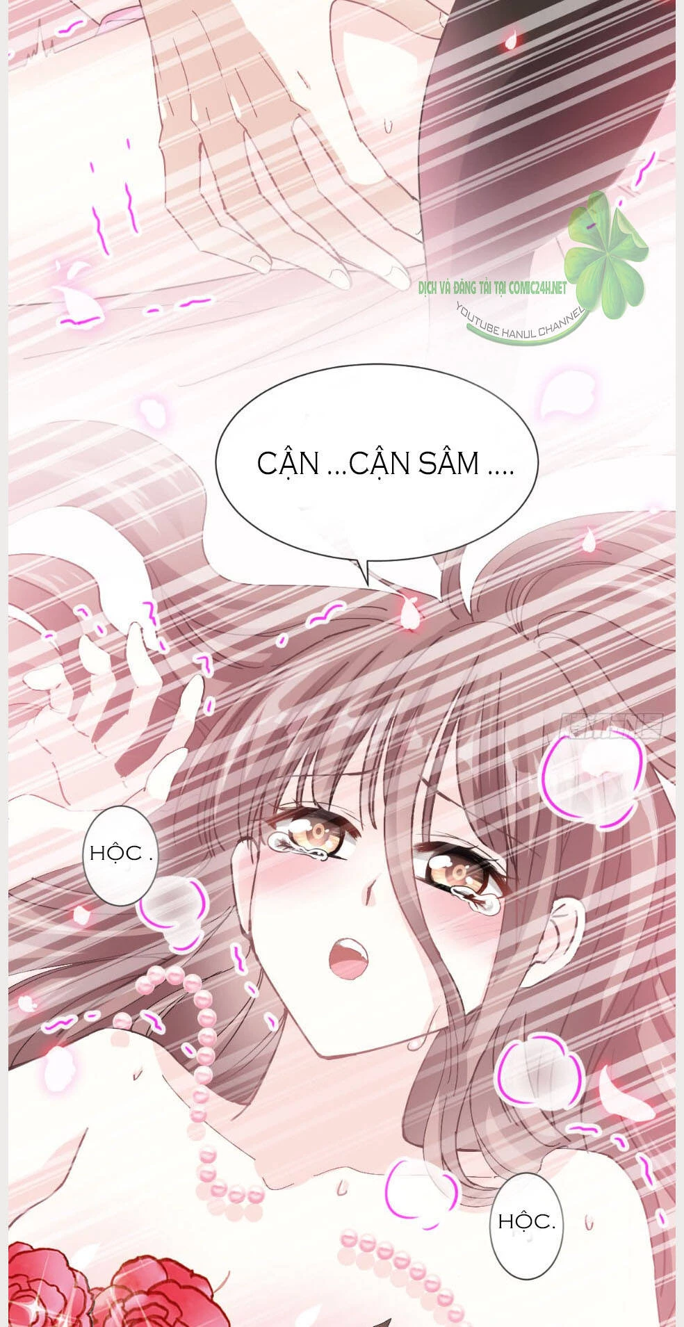 Bá Đạo Tổng Tài Nhẹ Nhàng Yêu Chapter 33.2 - 17