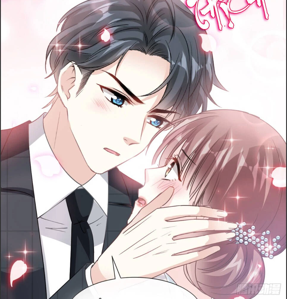 Bá Đạo Tổng Tài Nhẹ Nhàng Yêu Chapter 38.2 - 15