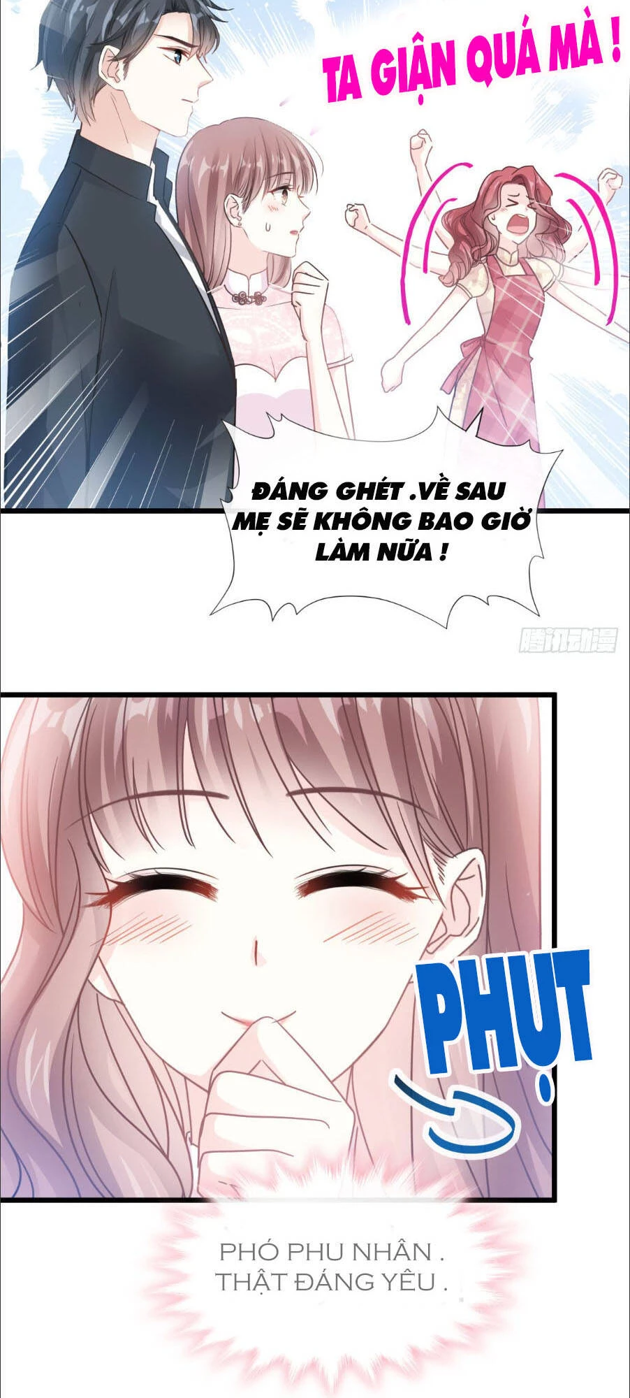 Bá Đạo Tổng Tài Nhẹ Nhàng Yêu Chapter 41.2 - 7