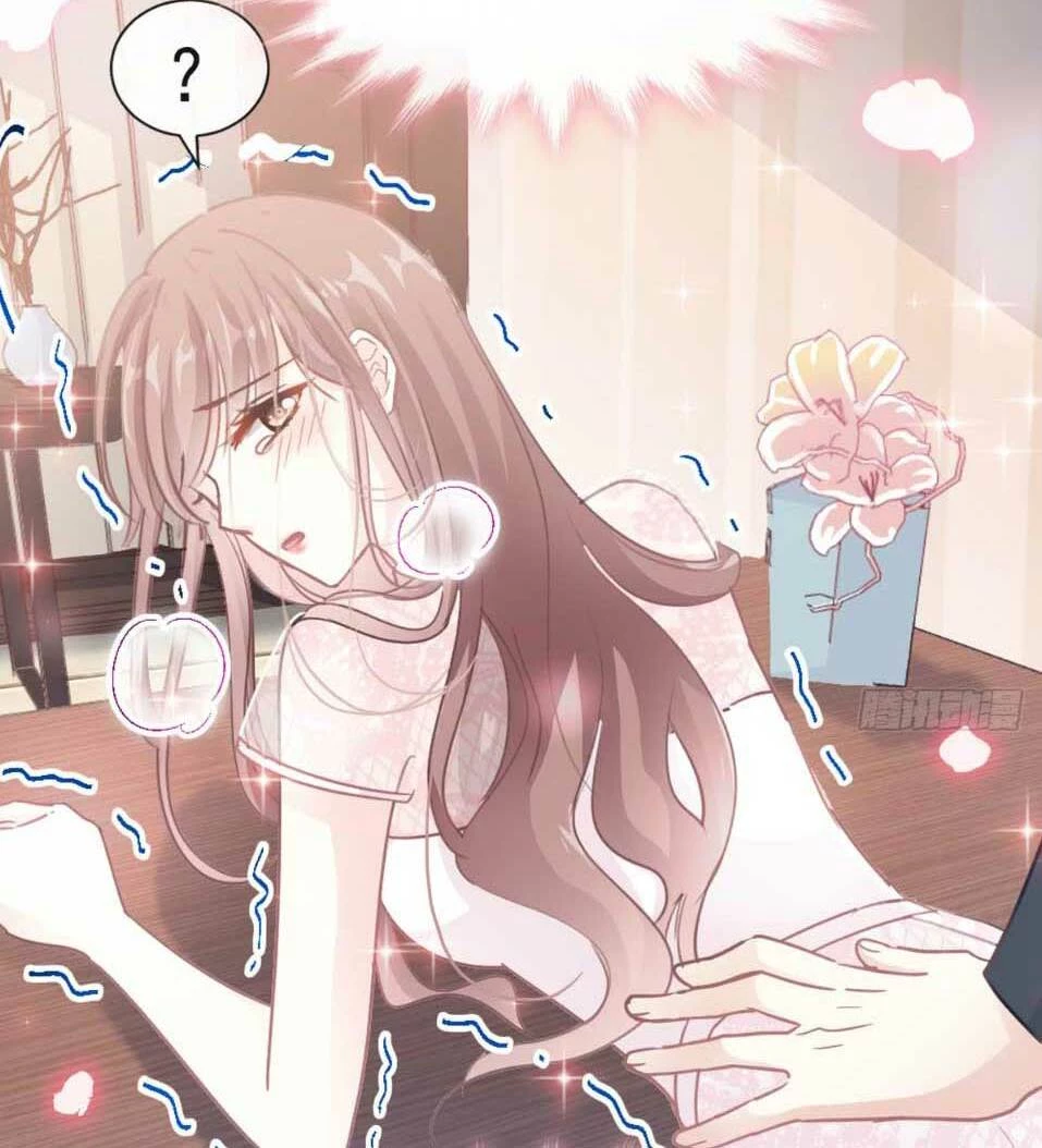 Bá Đạo Tổng Tài Nhẹ Nhàng Yêu Chapter 47.1 - 13