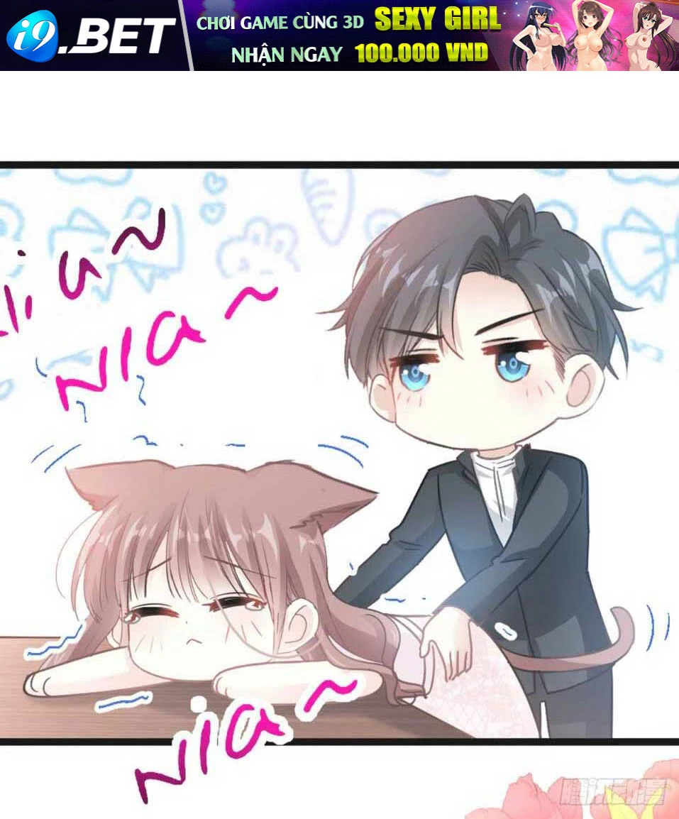 Bá Đạo Tổng Tài Nhẹ Nhàng Yêu Chapter 47.1 - 19