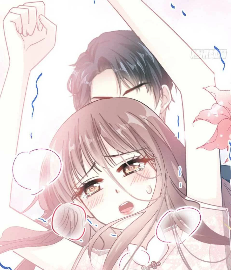 Bá Đạo Tổng Tài Nhẹ Nhàng Yêu Chapter 47.2 - 6