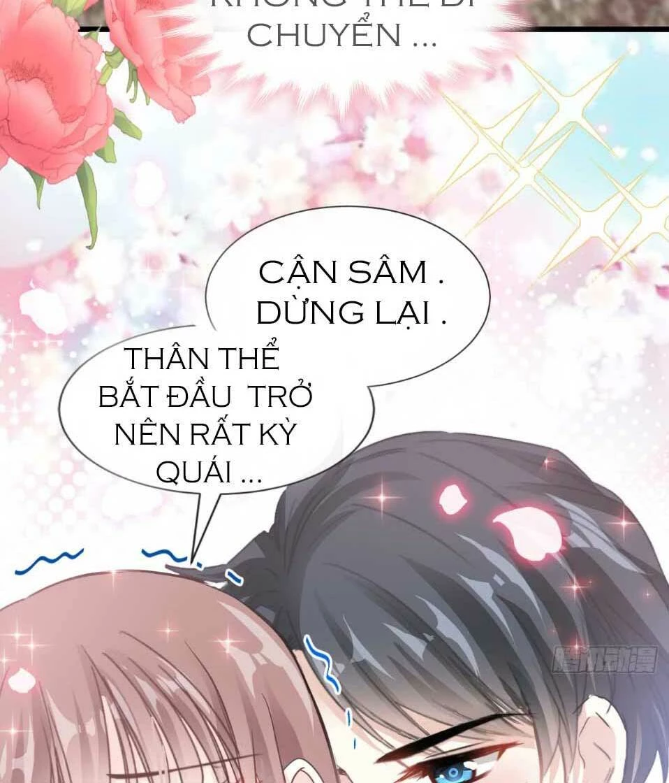 Bá Đạo Tổng Tài Nhẹ Nhàng Yêu Chapter 47.2 - 11