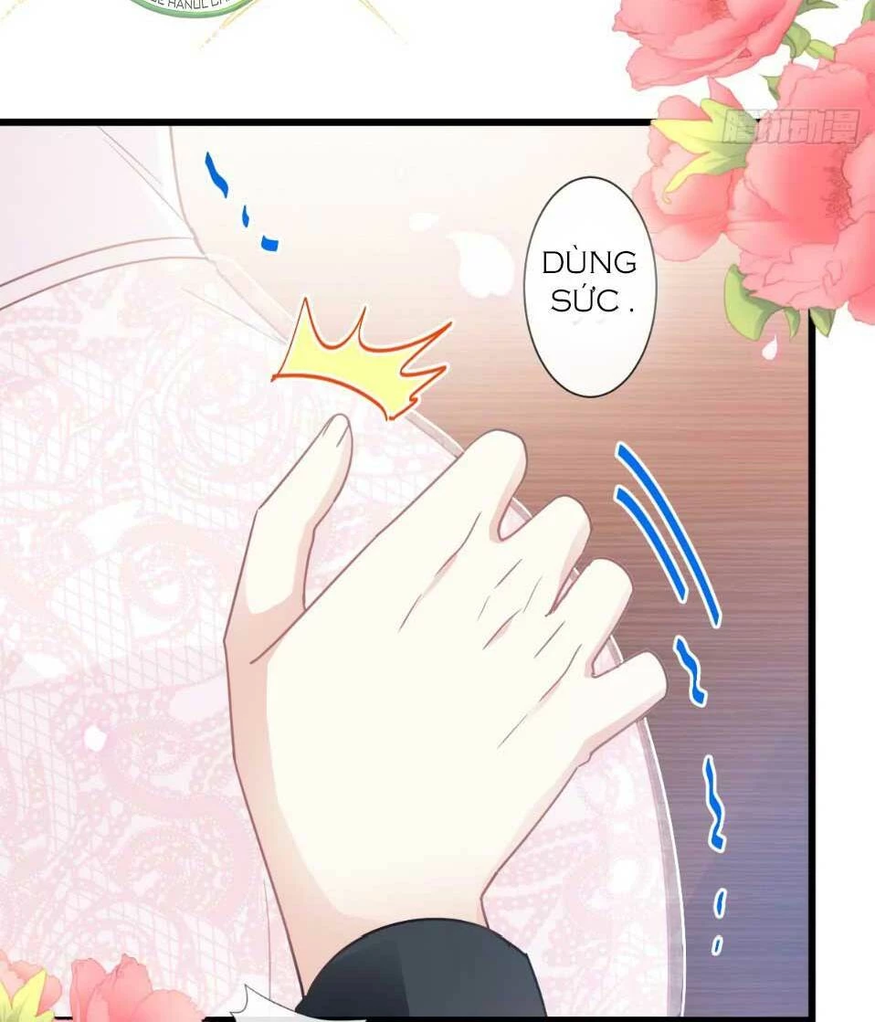 Bá Đạo Tổng Tài Nhẹ Nhàng Yêu Chapter 47.2 - 13