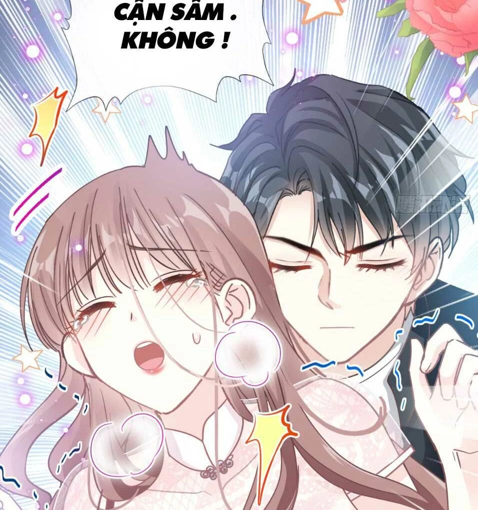 Bá Đạo Tổng Tài Nhẹ Nhàng Yêu Chapter 47.2 - 15