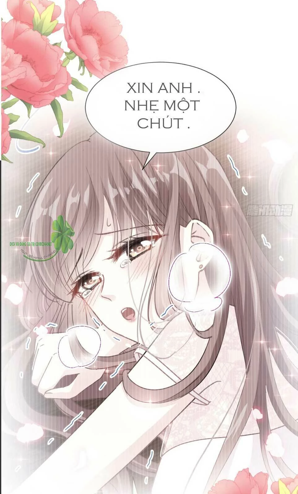 Bá Đạo Tổng Tài Nhẹ Nhàng Yêu Chapter 47.2 - 24