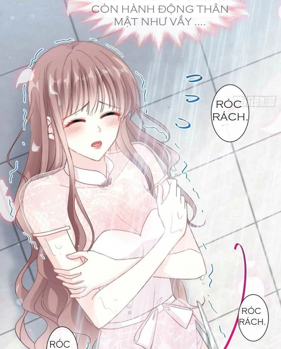 Bá Đạo Tổng Tài Nhẹ Nhàng Yêu Chapter 50 - 31