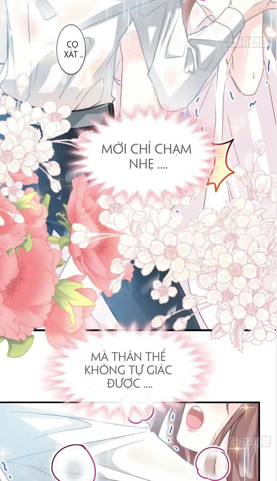 Bá Đạo Tổng Tài Nhẹ Nhàng Yêu Chapter 52.1 - 15