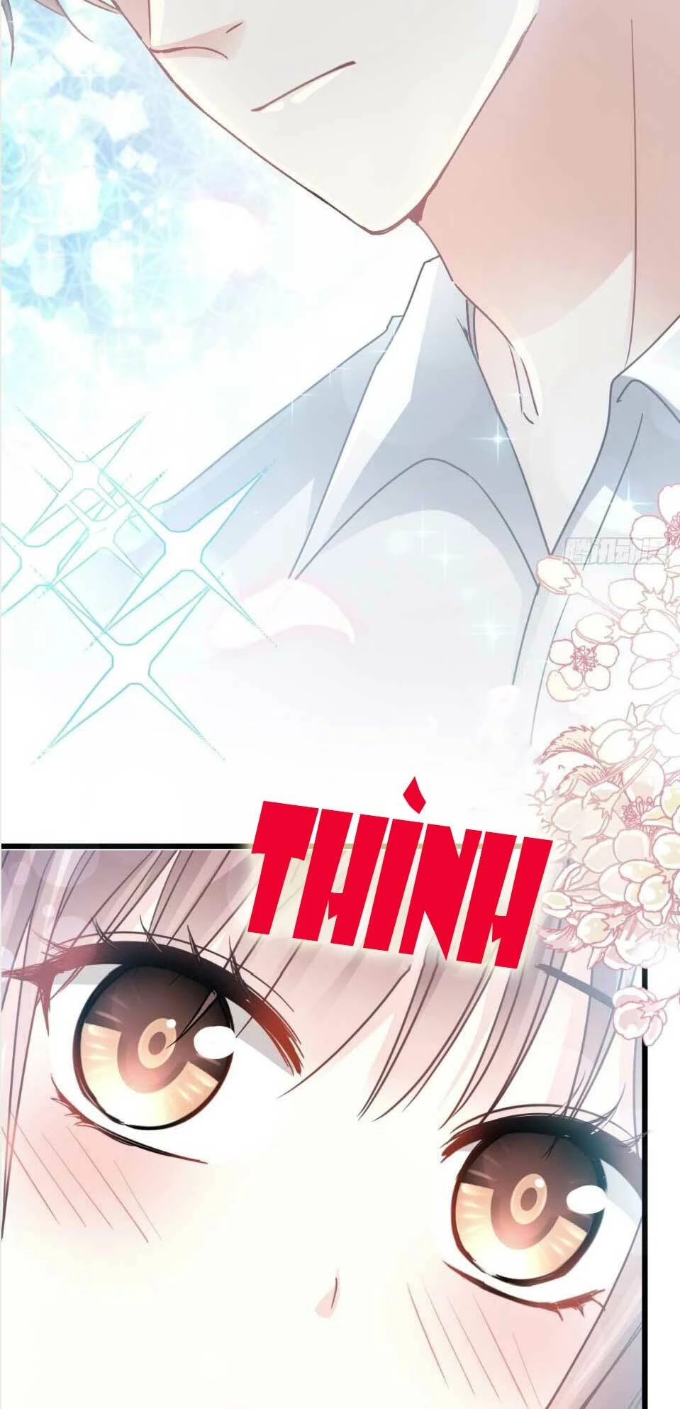 Bá Đạo Tổng Tài Nhẹ Nhàng Yêu Chapter 54.2 - 11