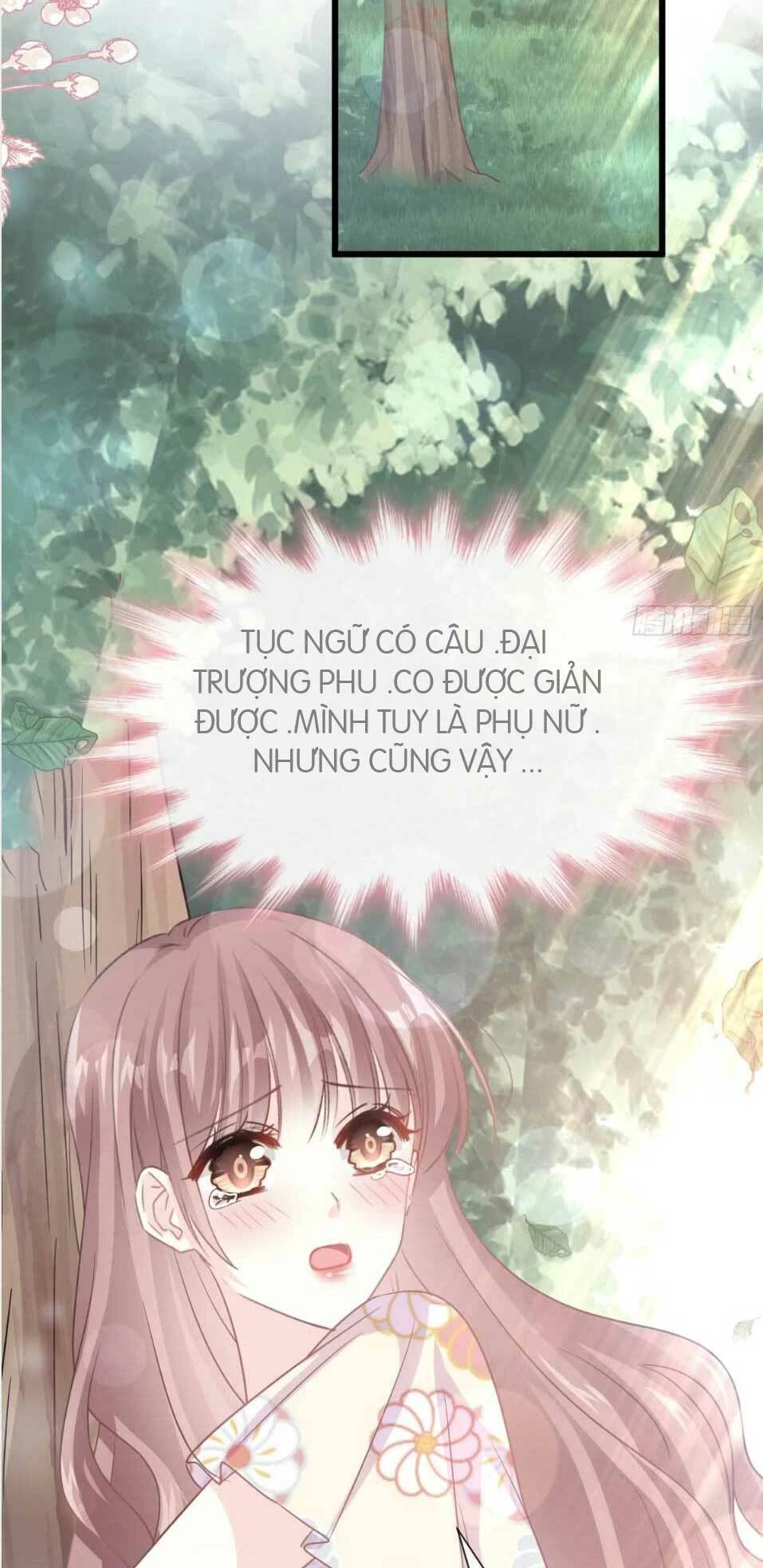 Bá Đạo Tổng Tài Nhẹ Nhàng Yêu Chapter 58.1 - 13