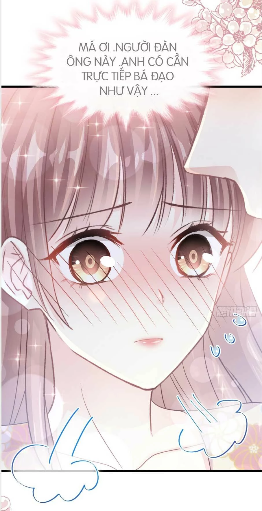 Bá Đạo Tổng Tài Nhẹ Nhàng Yêu Chapter 59.2 - 12