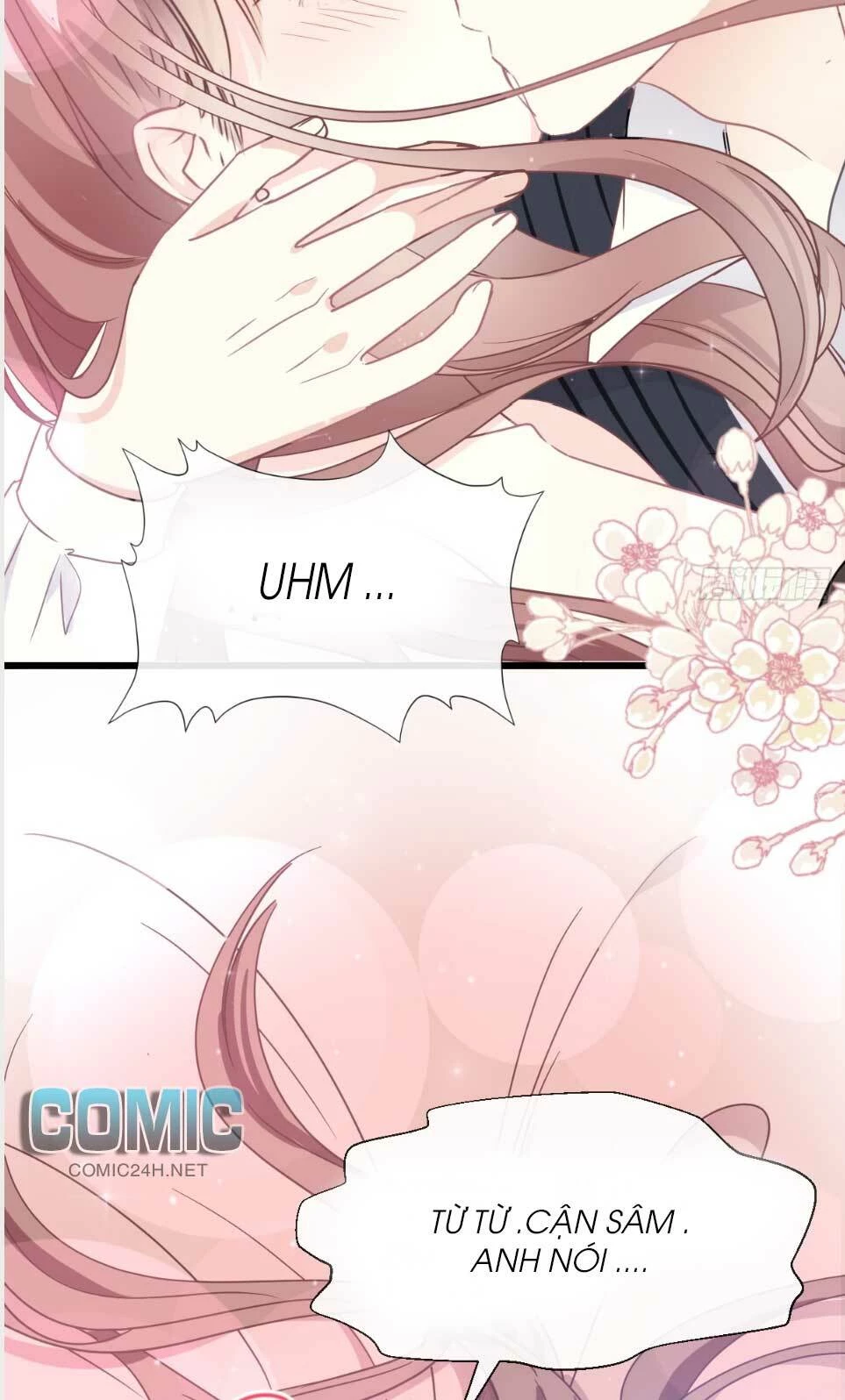 Bá Đạo Tổng Tài Nhẹ Nhàng Yêu Chapter 61.2 - 16