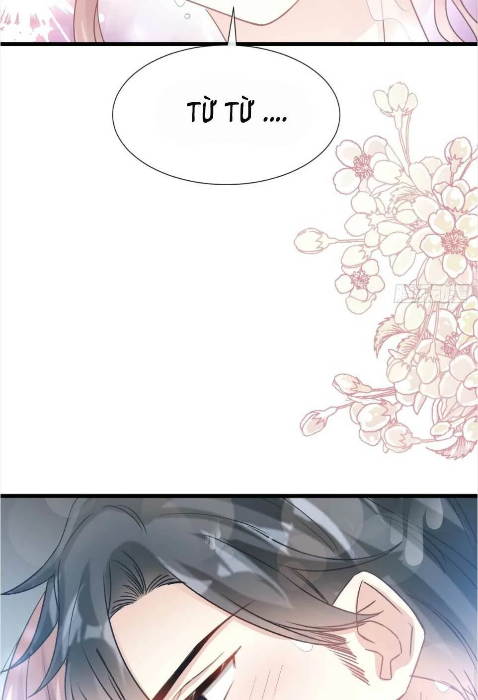 Bá Đạo Tổng Tài Nhẹ Nhàng Yêu Chapter 66.1 - 16