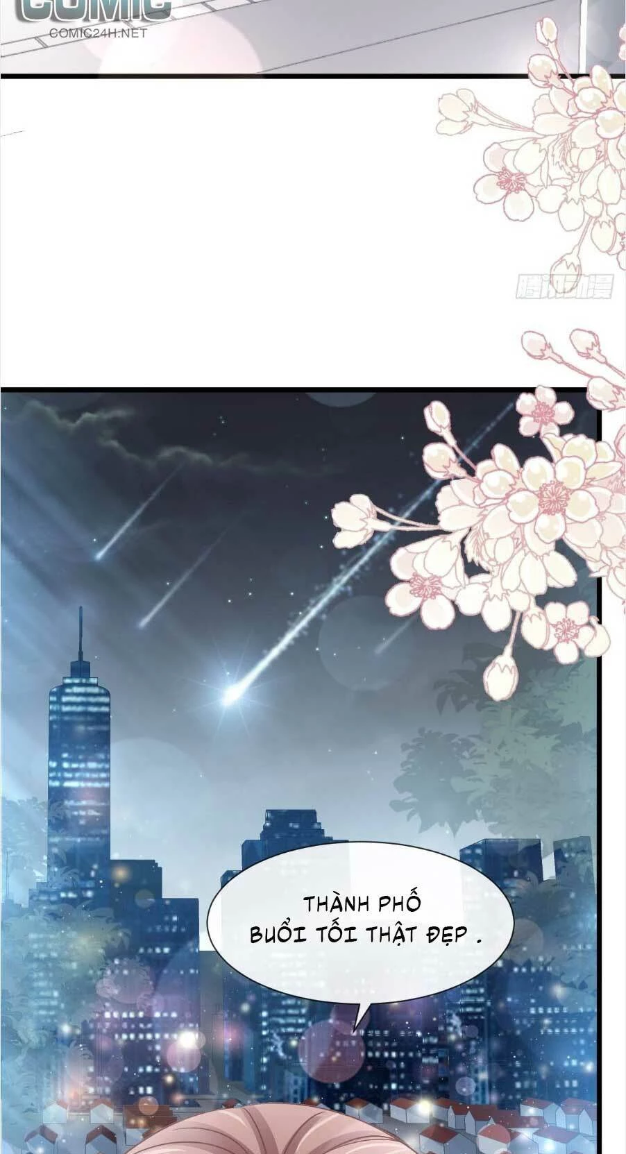 Bá Đạo Tổng Tài Nhẹ Nhàng Yêu Chapter 67.1 - 10