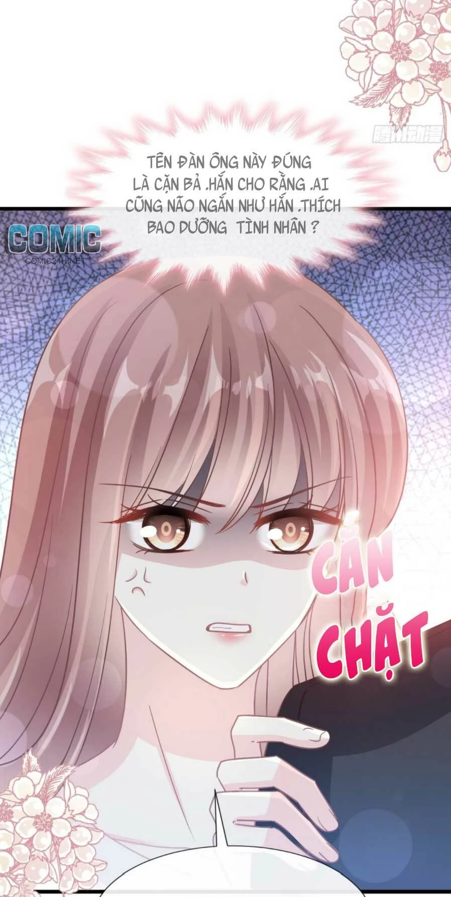 Bá Đạo Tổng Tài Nhẹ Nhàng Yêu Chapter 68.2 - 17