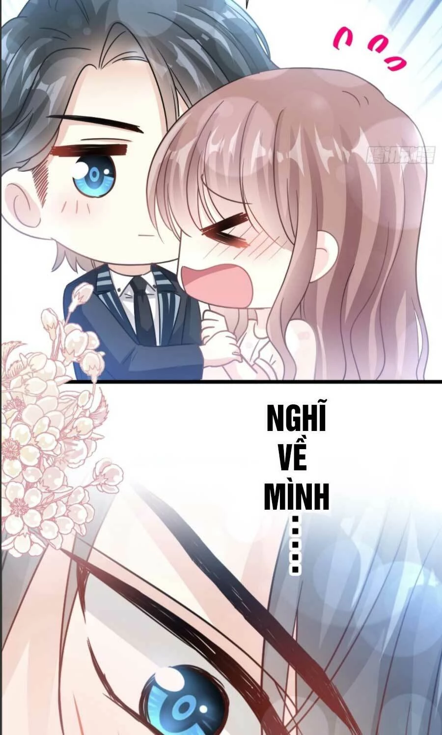 Bá Đạo Tổng Tài Nhẹ Nhàng Yêu Chapter 69.2 - 5