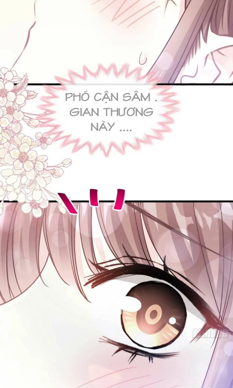 Bá Đạo Tổng Tài Nhẹ Nhàng Yêu Chapter 72.1 - 5