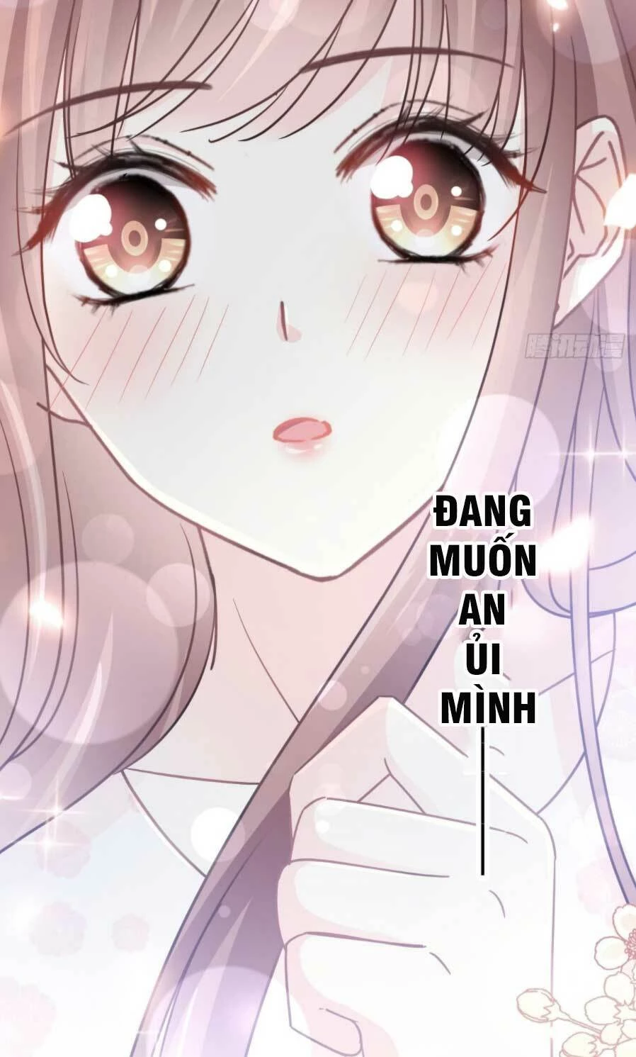 Bá Đạo Tổng Tài Nhẹ Nhàng Yêu Chapter 72.1 - 12