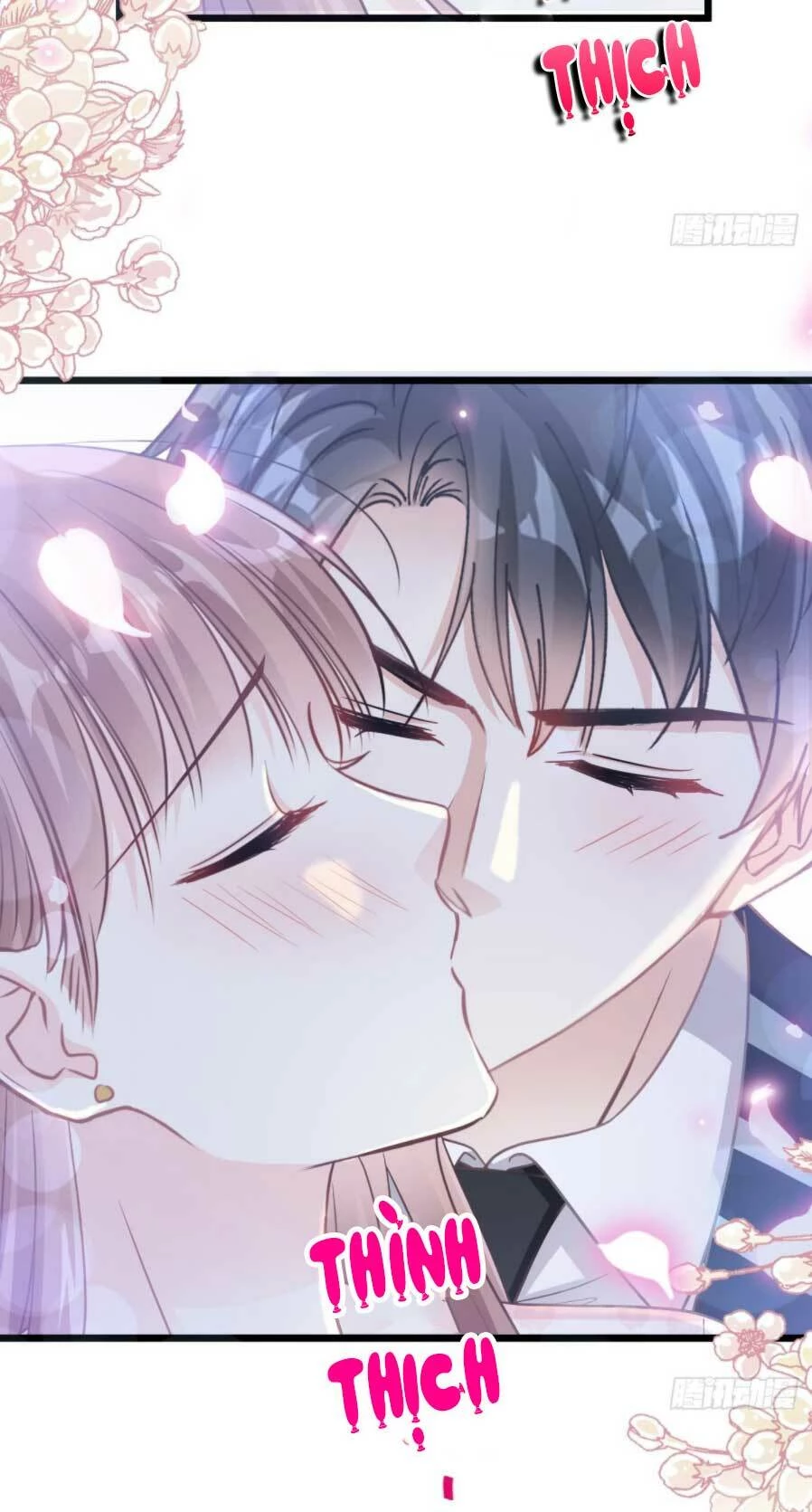 Bá Đạo Tổng Tài Nhẹ Nhàng Yêu Chapter 81.2 - 5