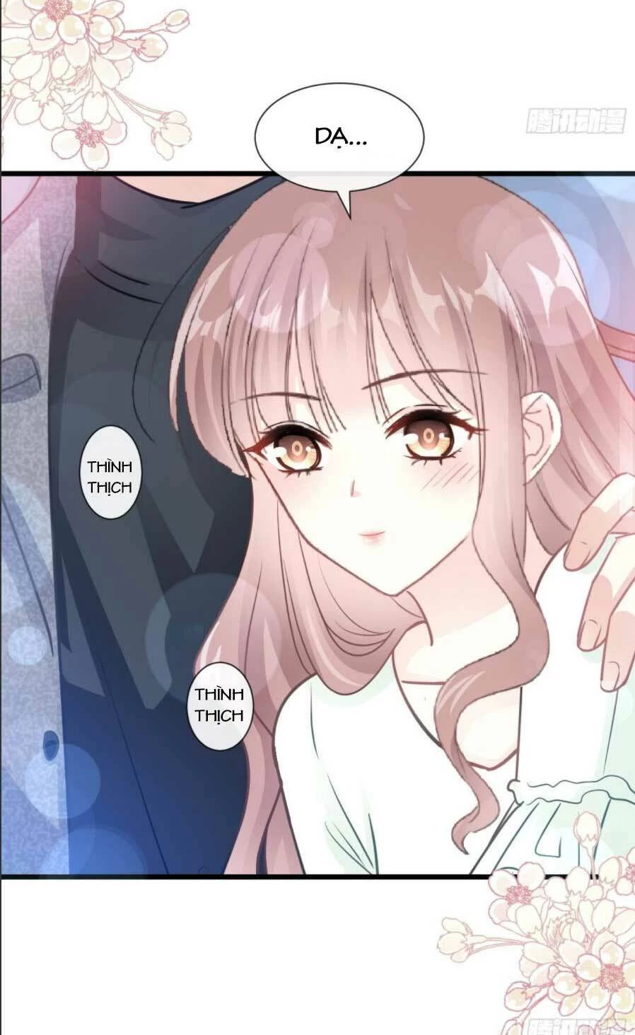 Bá Đạo Tổng Tài Nhẹ Nhàng Yêu Chapter 85.1 - 12