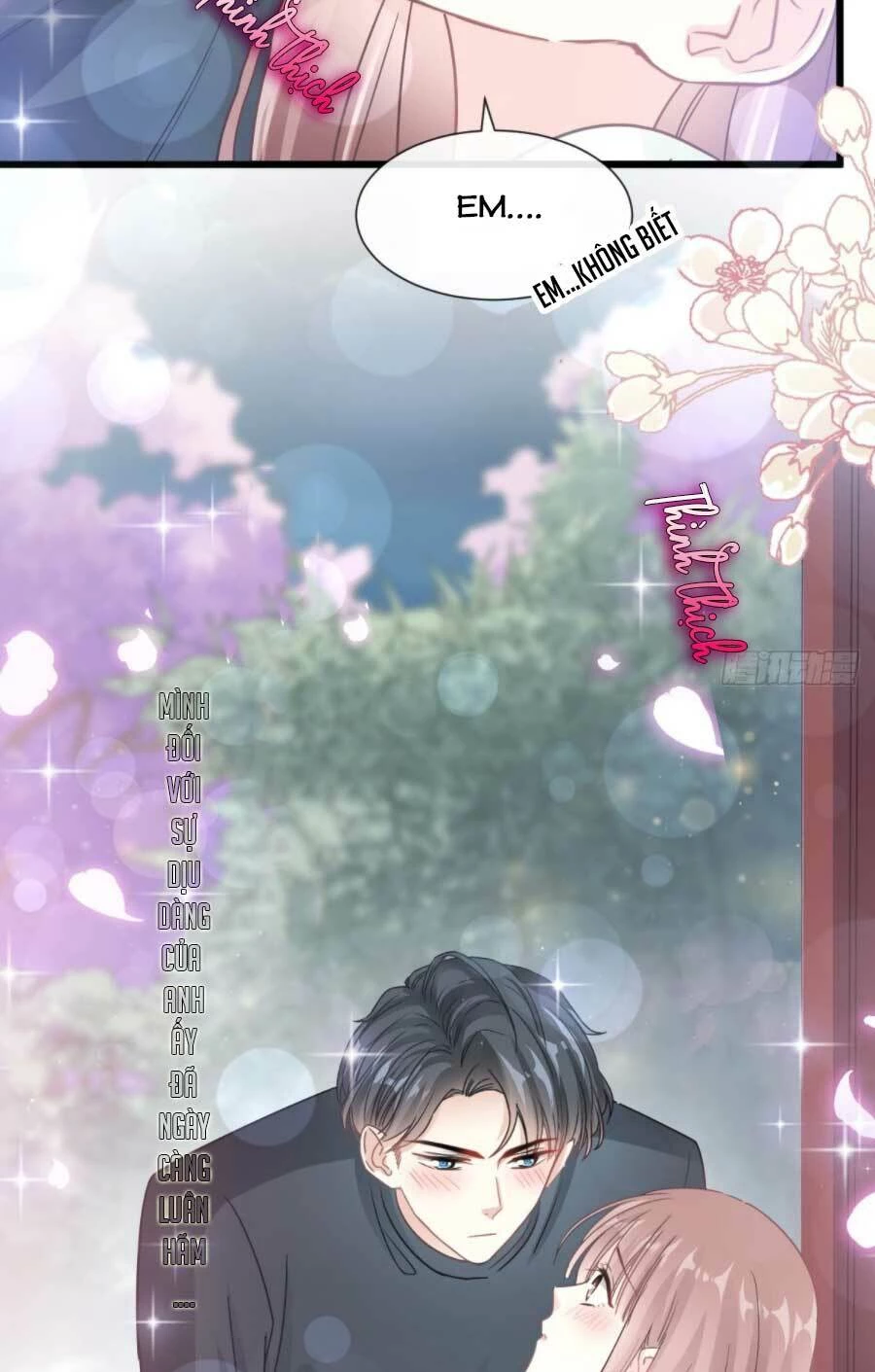 Bá Đạo Tổng Tài Nhẹ Nhàng Yêu Chapter 86.1 - 13