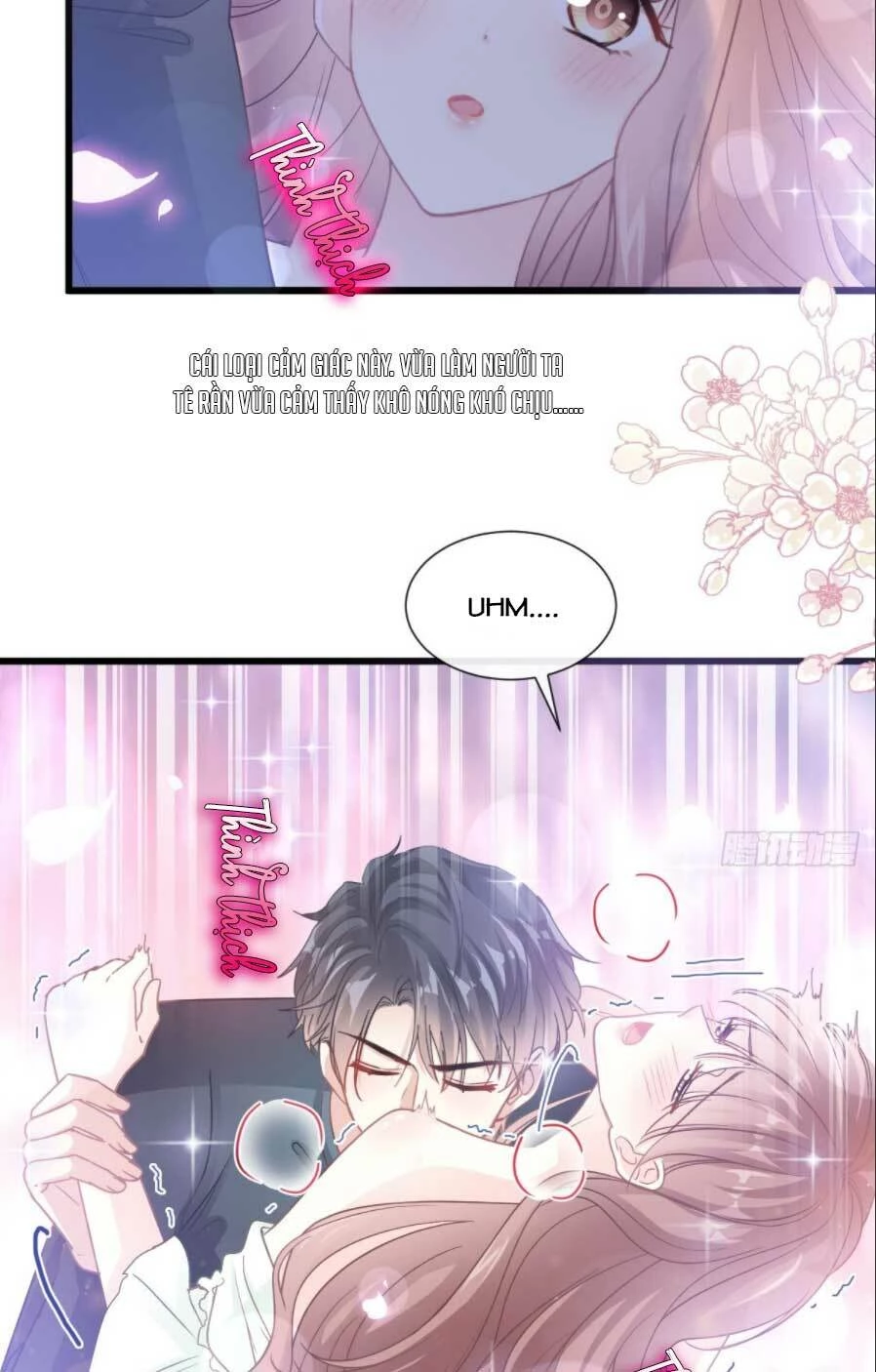 Bá Đạo Tổng Tài Nhẹ Nhàng Yêu Chapter 86.2 - 15