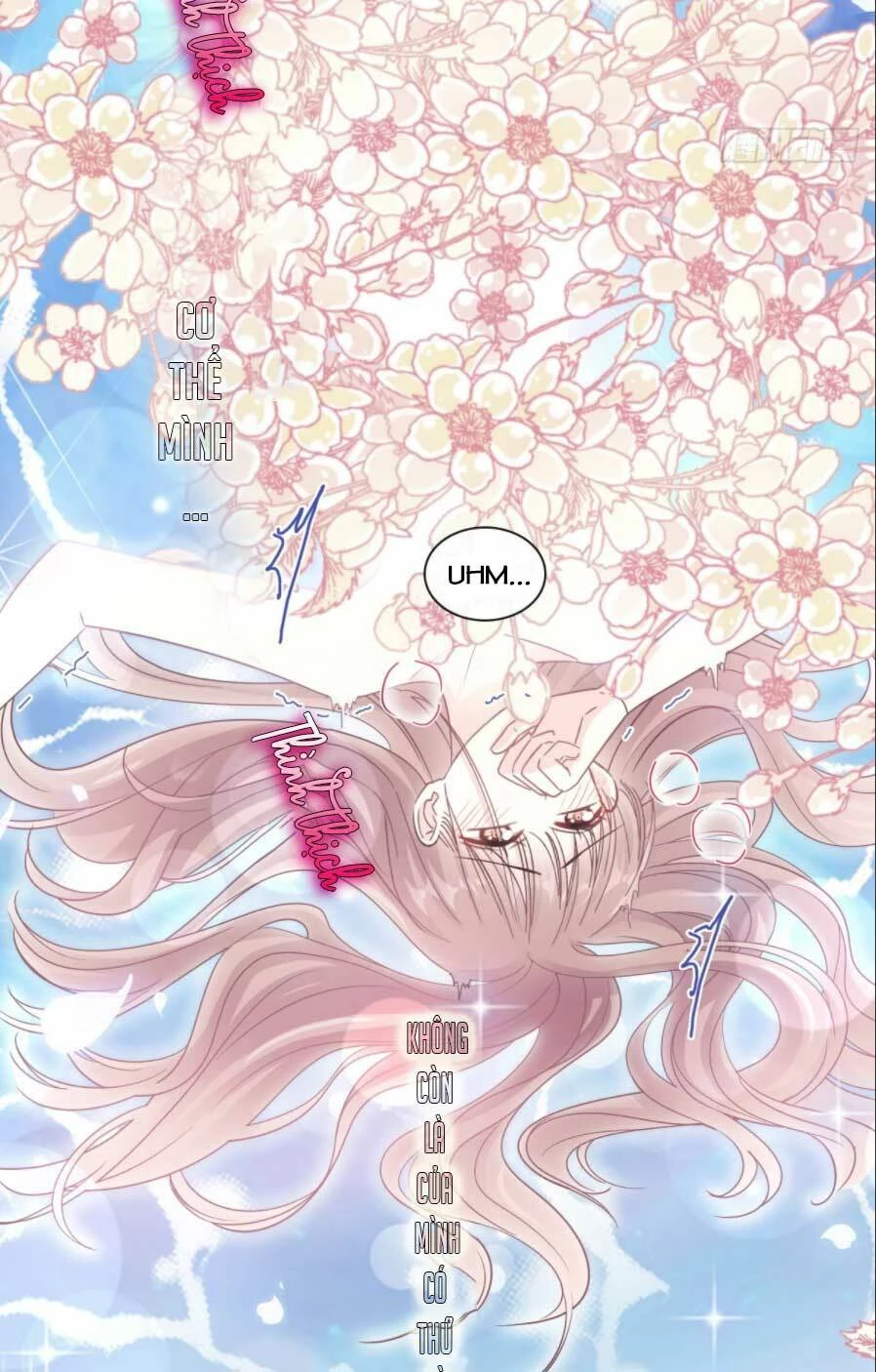 Bá Đạo Tổng Tài Nhẹ Nhàng Yêu Chapter 86.2 - 21