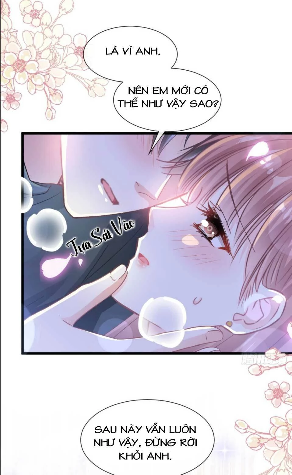 Bá Đạo Tổng Tài Nhẹ Nhàng Yêu Chapter 87.1 - 6