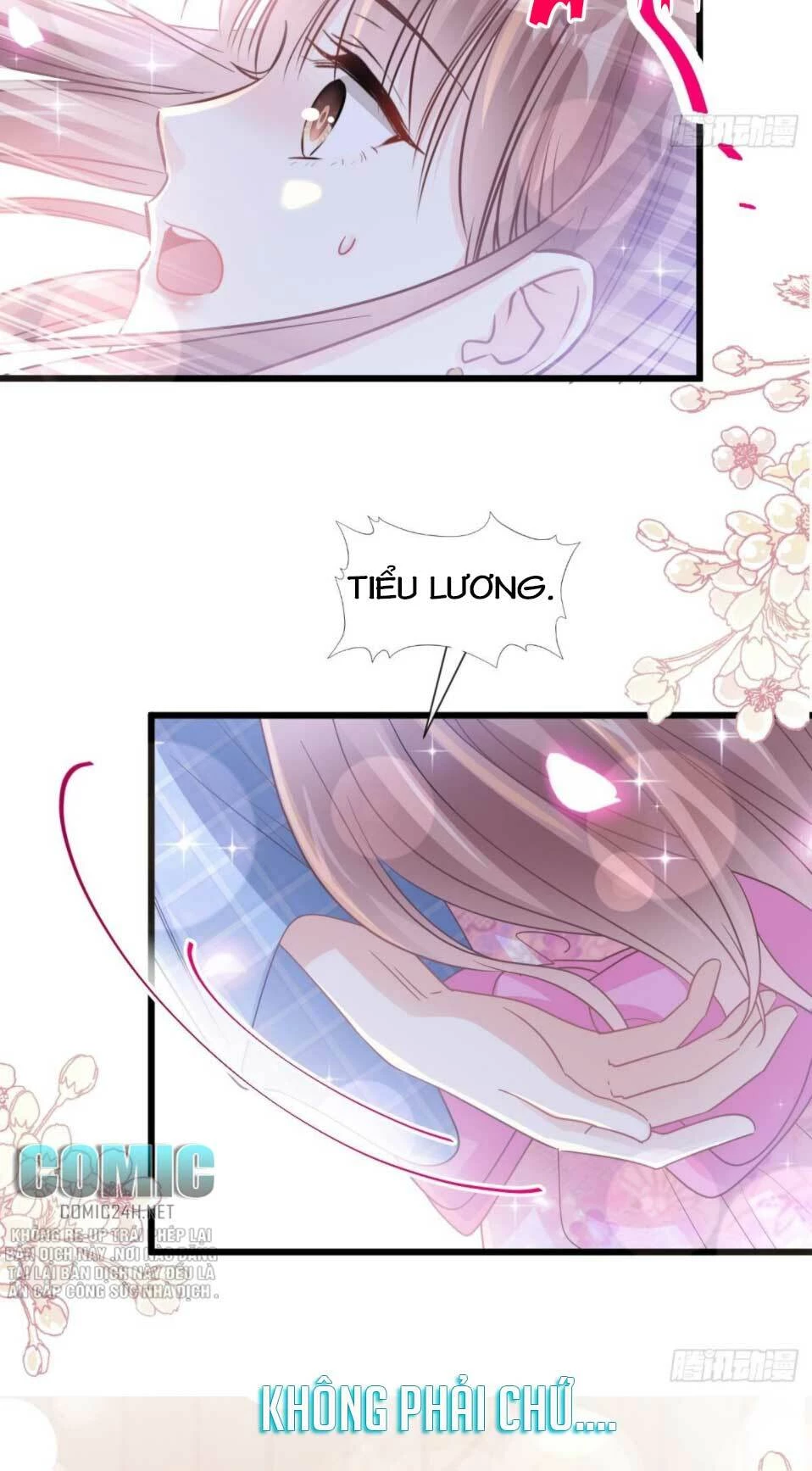 Bá Đạo Tổng Tài Nhẹ Nhàng Yêu Chapter 90.2 - 12