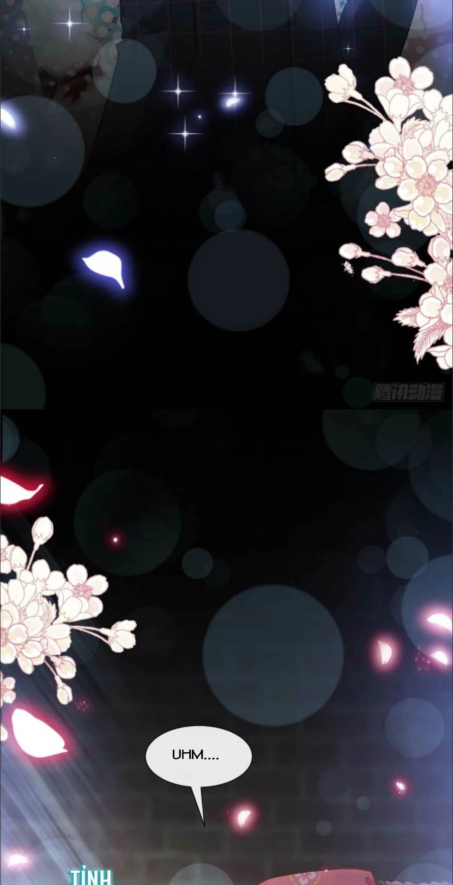 Bá Đạo Tổng Tài Nhẹ Nhàng Yêu Chapter 92.2 - 9