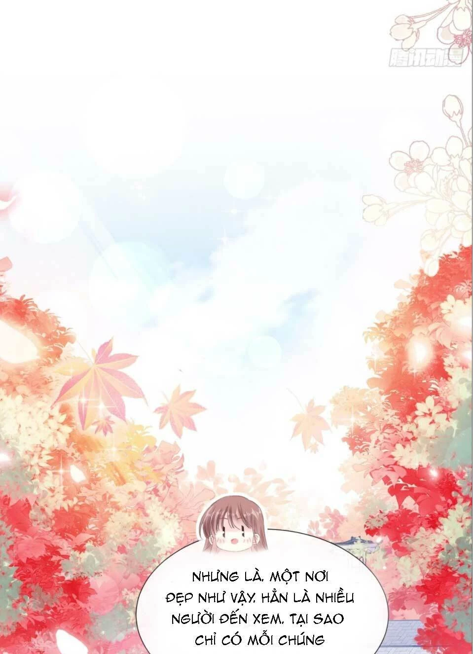 Bá Đạo Tổng Tài Nhẹ Nhàng Yêu Chapter 97.1 - 14
