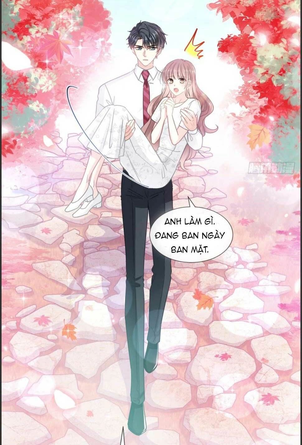 Bá Đạo Tổng Tài Nhẹ Nhàng Yêu Chapter 97.2 - 5