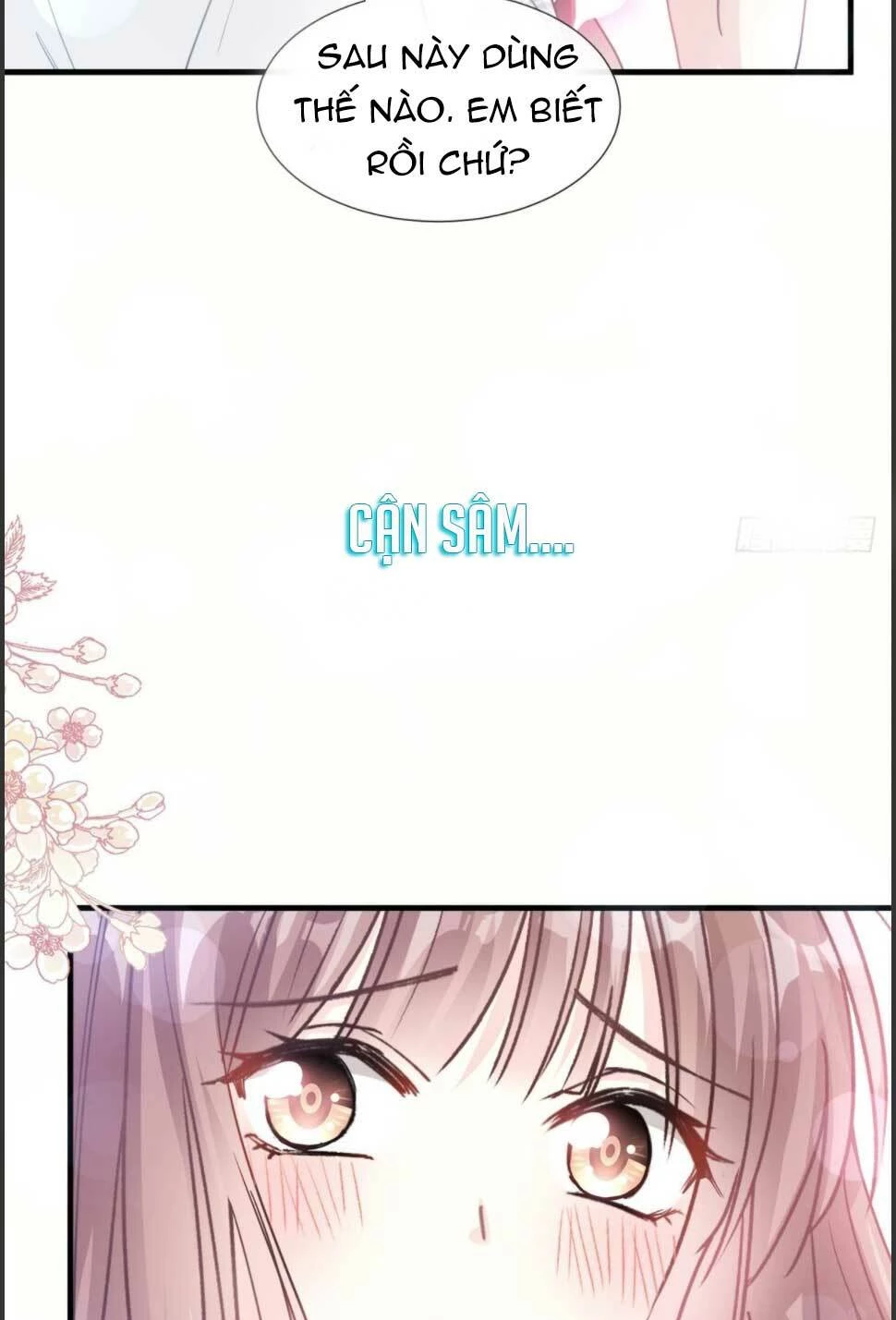 Bá Đạo Tổng Tài Nhẹ Nhàng Yêu Chapter 97.2 - 10