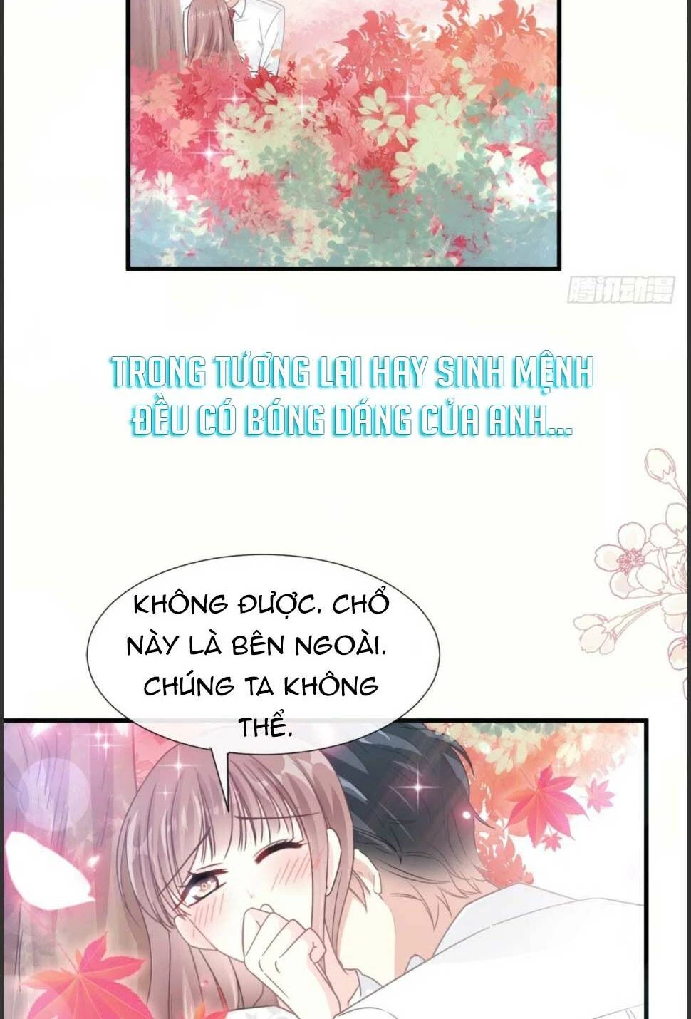 Bá Đạo Tổng Tài Nhẹ Nhàng Yêu Chapter 97.2 - 13