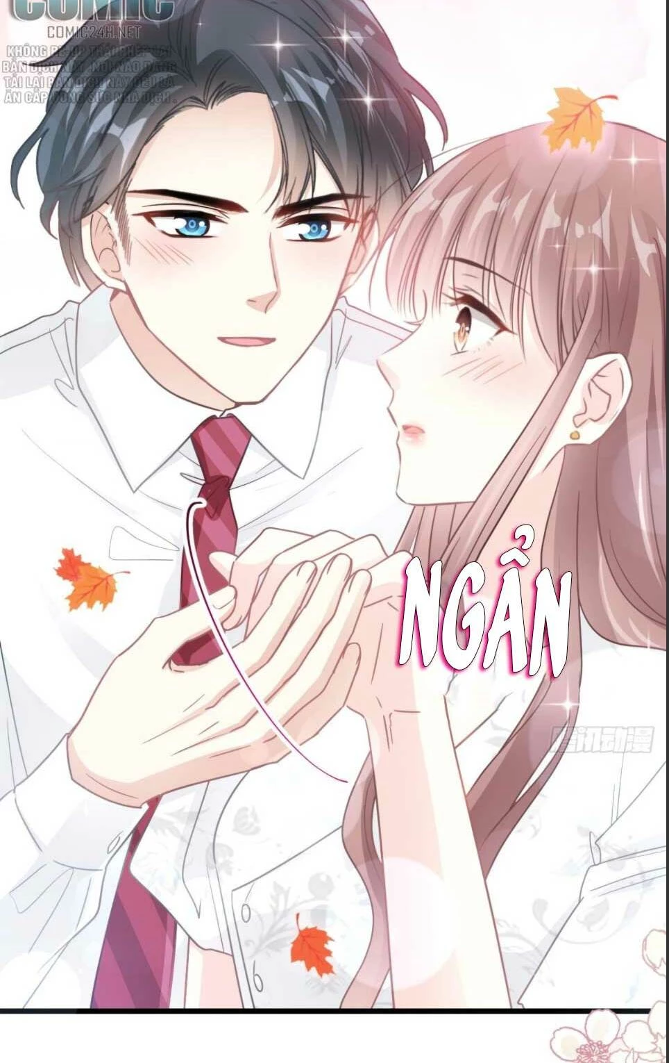 Bá Đạo Tổng Tài Nhẹ Nhàng Yêu Chapter 98.2 - 13